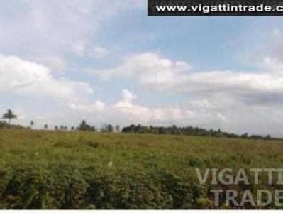 39 lands for sale in Naga City, Camarines Sur .
